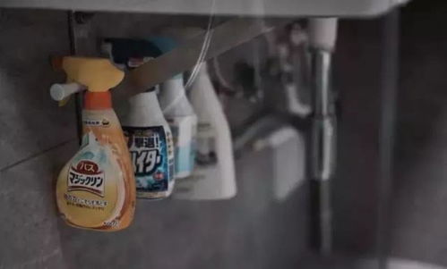 清洁工具 隐形的健康杀手